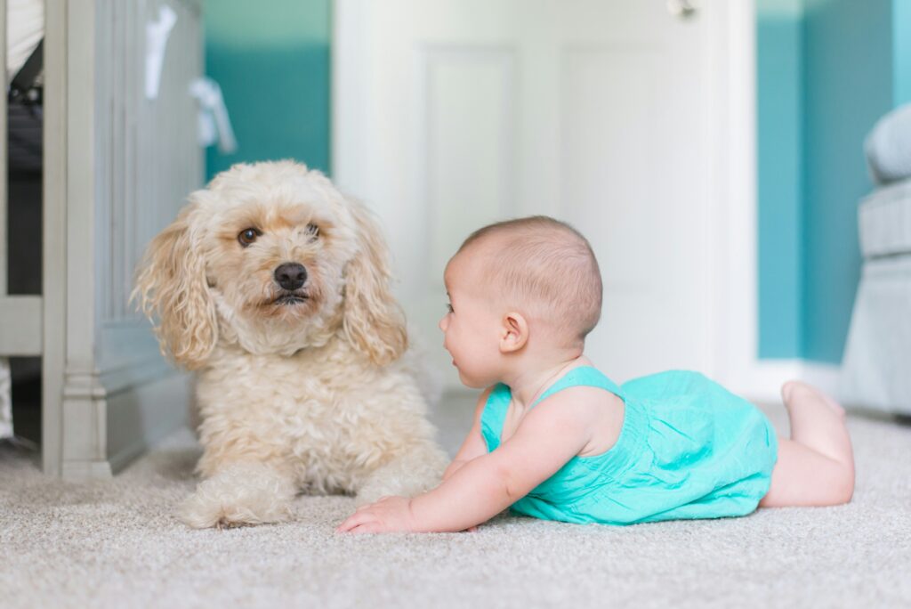 Introducing your pet to your newborn