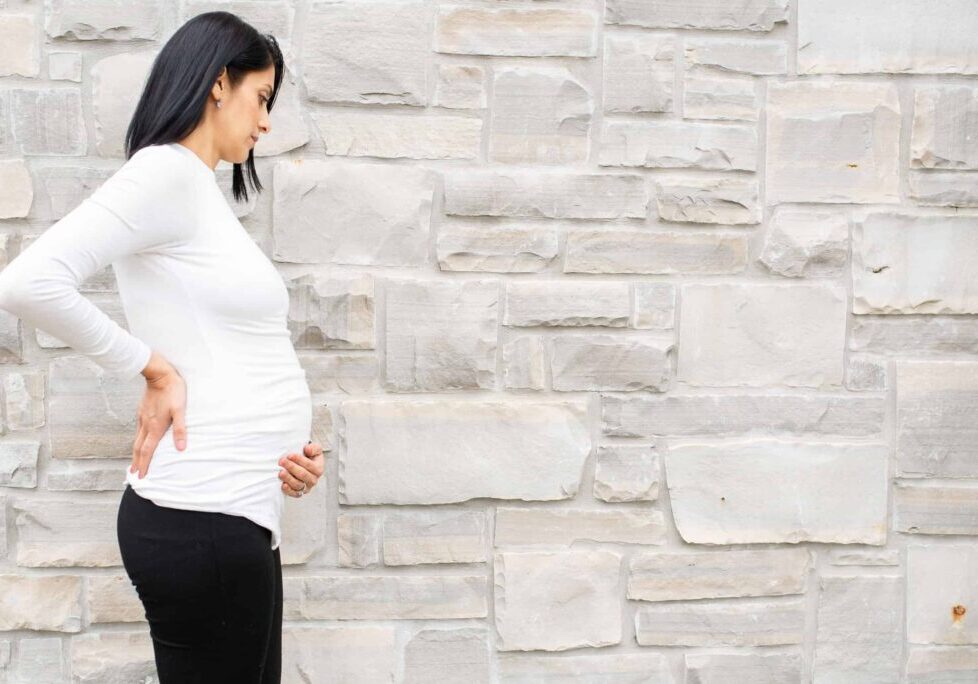 Serving san jose, santa cruz, los altos