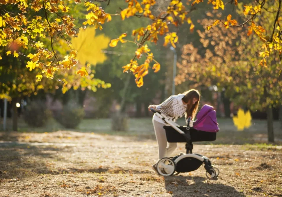 Stroller Walk - Fall